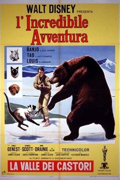 Locandina L'incredibile avventura