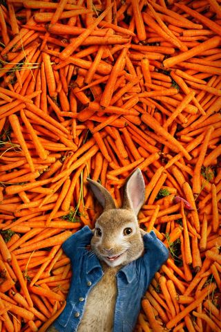 Peter Rabbit