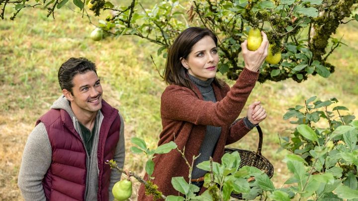 Una scena tratta dal film Il frutto dell'amore