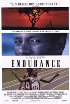 Locandina Endurance