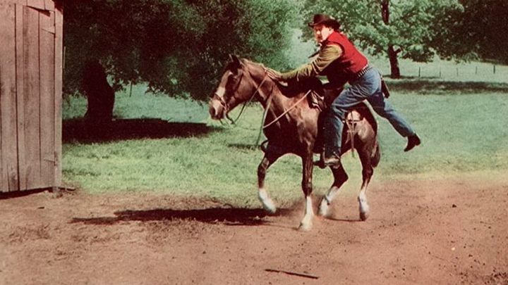 Una scena tratta dal film I pionieri del West