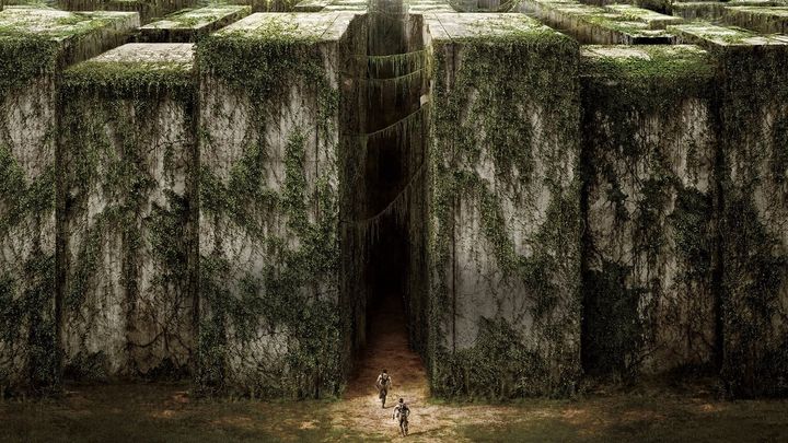 Una scena tratta dal film Maze Runner - Il labirinto