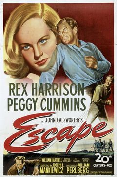 Locandina Il fuggitivo