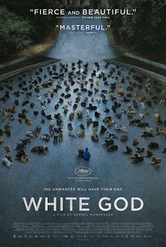 Locandina White God - Sinfonia per Hagen