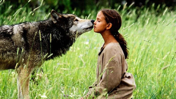 Una scena tratta dal film Un lupo per amico