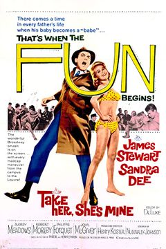 Locandina Prendila è mia