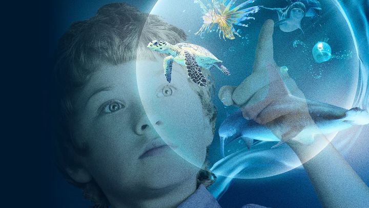 Una scena tratta dal film Le meraviglie del mare