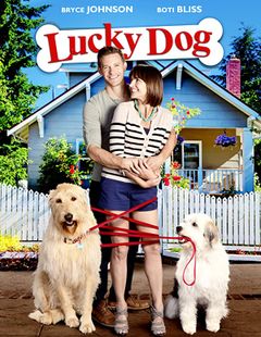 Locandina Lucky - Il cane fortunato