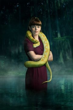 Locandina Il gioiello nascosto