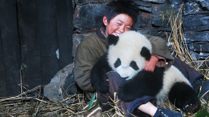 Una scena tratta dal film Un panda per amico