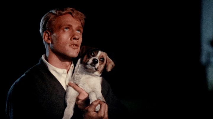 Una scena tratta dal film Mattatoio 5