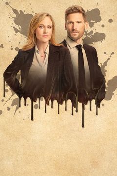 Locandina Curious Caterer: Dying for Chocolate