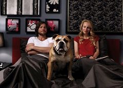 Locandina Una questione di famiglia