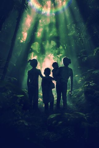Lost in the Jungle