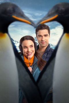 Locandina Polar Opposites