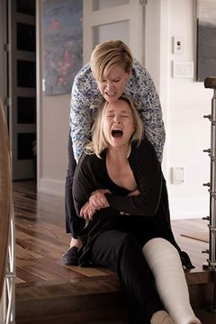 Locandina Sulle ali della pazzia