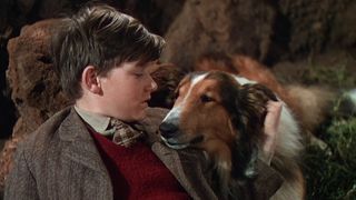 Torna a casa Lassie!
