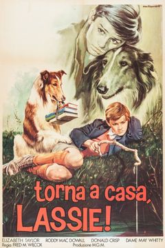 Locandina Torna a casa Lassie!