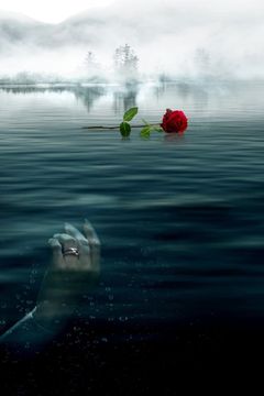 Locandina Per amore della verità