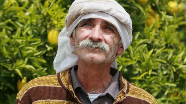 Una scena tratta dal film Il giardino di limoni