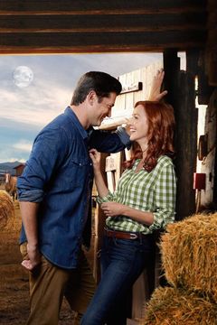 Locandina Amore a Harmony Ranch