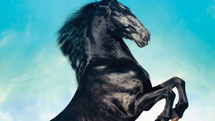 Una scena tratta dal film Black Beauty - Una storia di coraggio