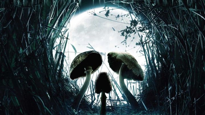 Una scena tratta dal film Shrooms - Trip senza ritorno