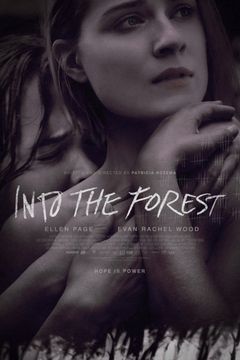 Locandina Into the Forest