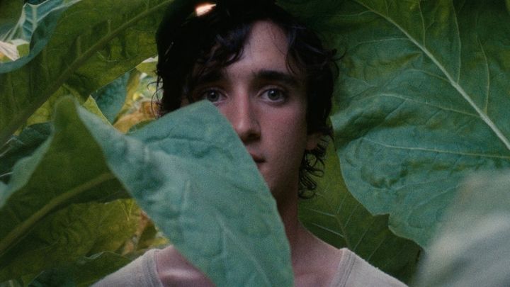 Una scena tratta dal film Lazzaro felice