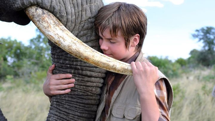 Una scena tratta dal film Il ragazzo e il grande elefante
