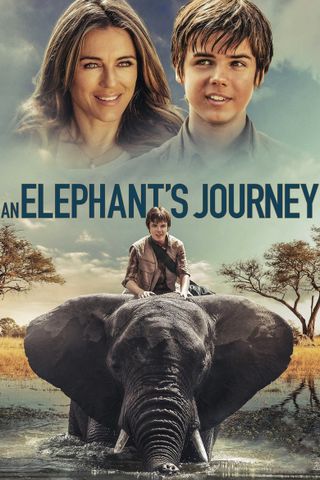 Il ragazzo e il grande elefante