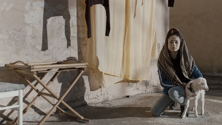 Una scena tratta dal film L'agnello