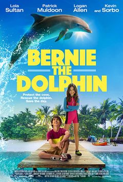 Locandina Bernie il Delfino