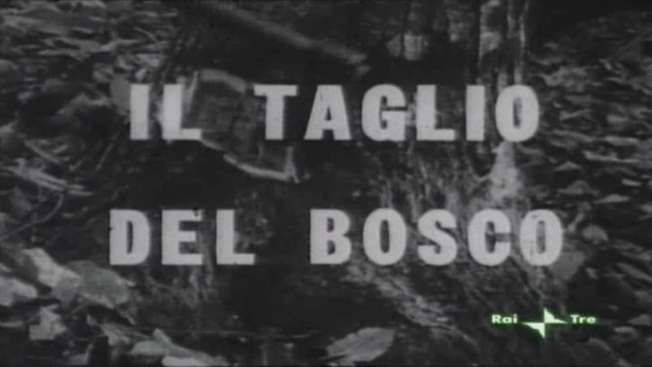Una scena tratta dal film Il taglio del bosco