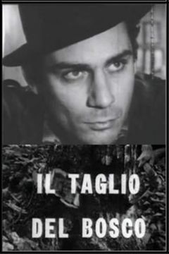 Locandina Il taglio del bosco