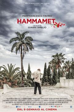 Locandina Hammamet