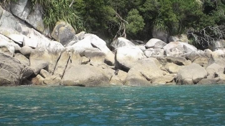 Una scena tratta dal film L'altro lato del paradiso