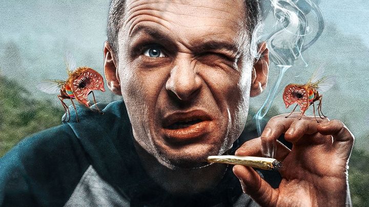 Una scena tratta dal film Tafanos