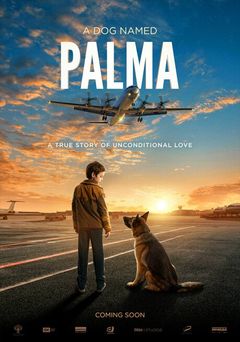 Locandina Palma un amore di cane