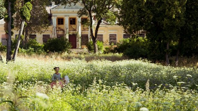 Una scena tratta dal film Cuore di farfalla