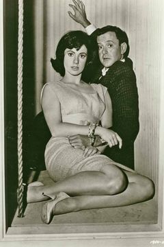 Locandina Un leone nel mio letto