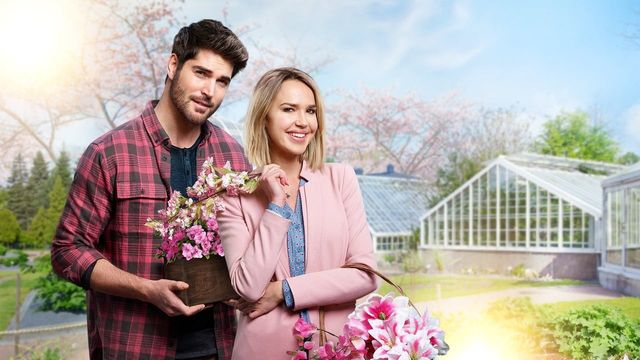 Una scena tratta dal film Le ragioni del cuore