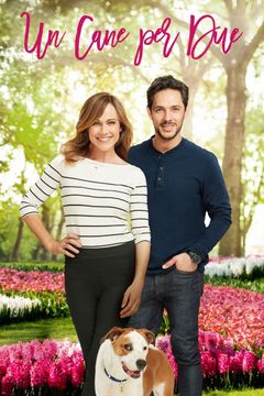 Locandina Un cane per due