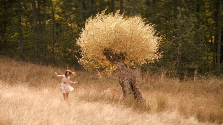 Una scena tratta dal film Lucania