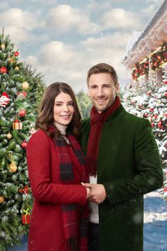 Locandina Il Natale che ho dimenticato