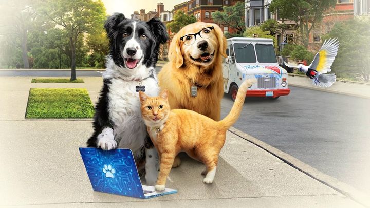 Una scena tratta dal film Cani e gatti 3 - Zampe unite
