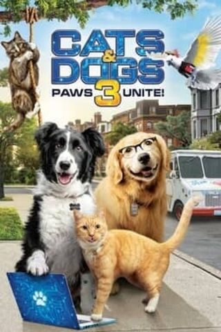 Cani e gatti 3 - Zampe unite