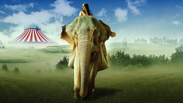 Una scena tratta dal film In viaggio con Flora