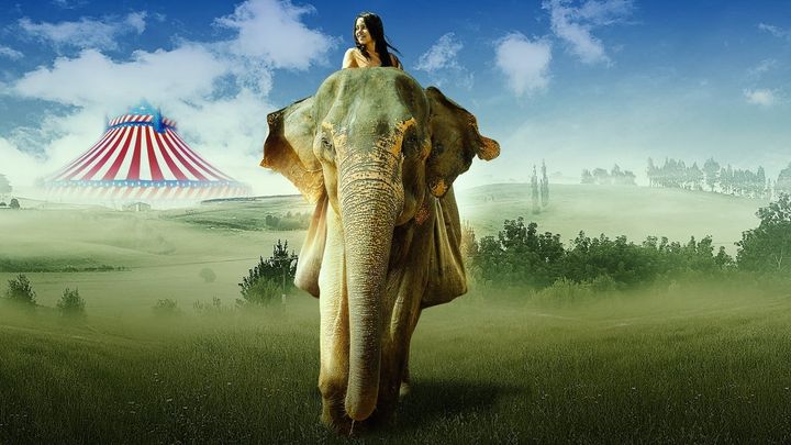 Una scena tratta dal film In viaggio con Flora