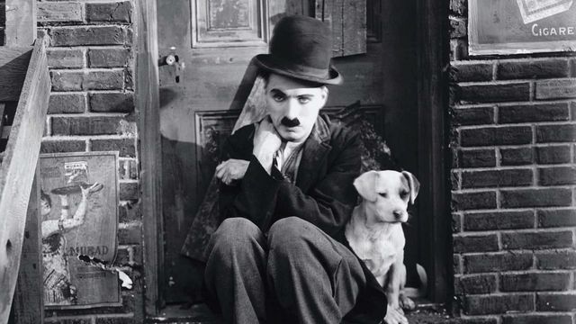 Una scena tratta dal film Vita da cani